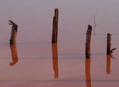 Fonds d'cran Nature Reflet