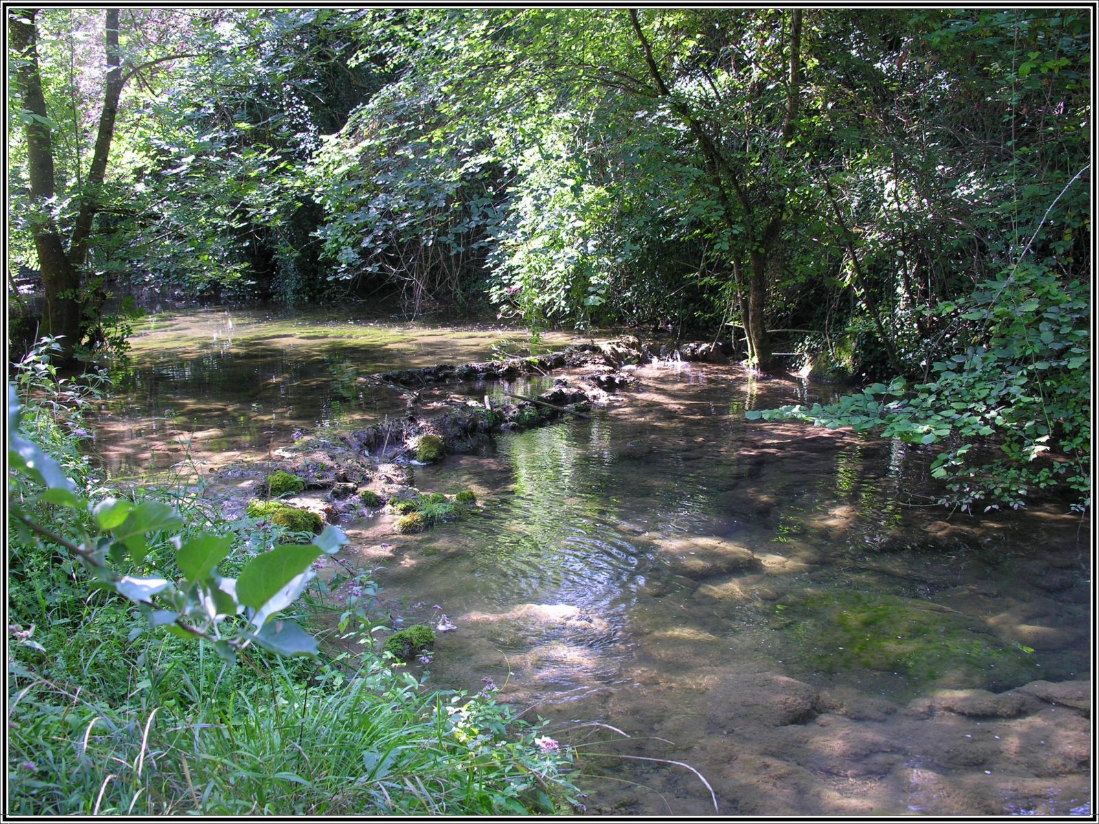 Fonds d'cran Nature Fleuves - Rivires - Torrents Agrable fracheur