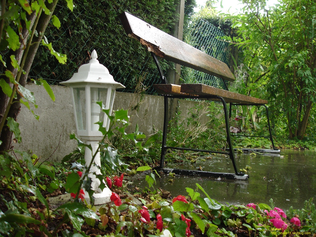 Fonds d'cran Nature Parcs - Jardins Jour de pluie