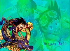 Fonds d'cran Manga Dragon Ball Group!