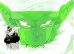 Fonds d'cran Manga Wall Piccolo