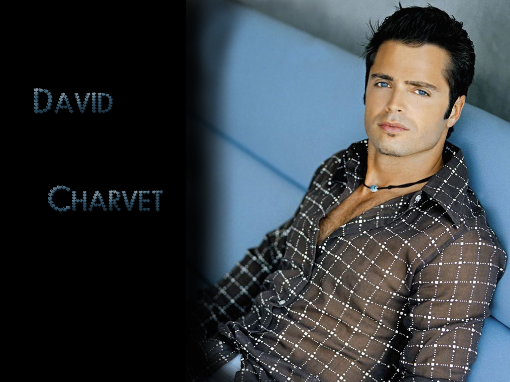 Fonds d'cran Musique David Charvet David Charvet