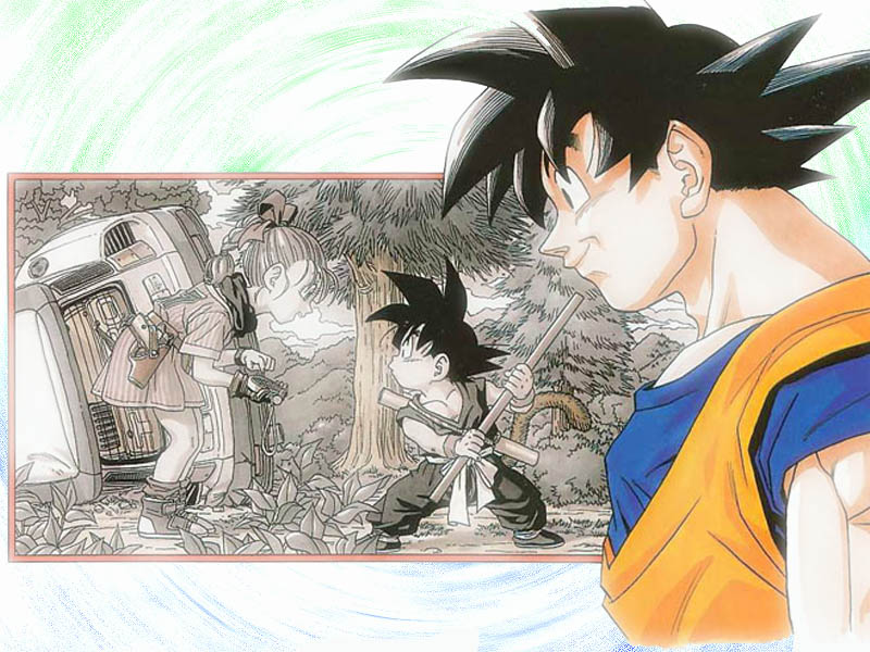 Fonds d'cran Manga Dragon Ball Z Souvenir de sangoku