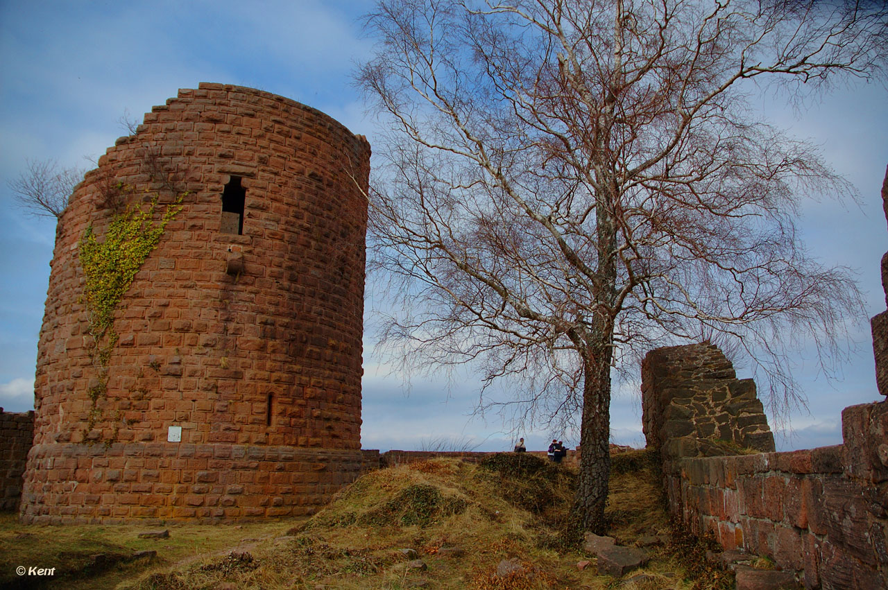 Wallpapers Constructions and architecture Castles - Palace Chteau du Frankenbourg , Alsace