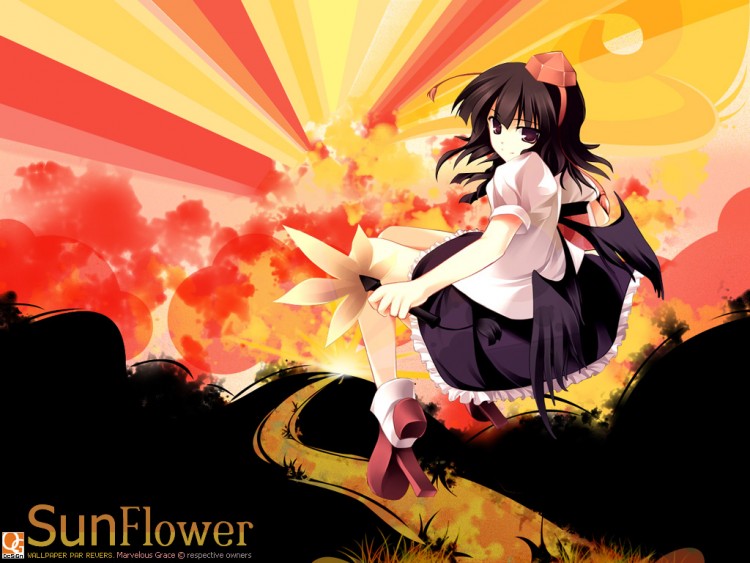 Fonds d'cran Manga Character Design SunFlower