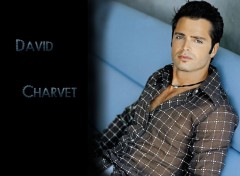 Fonds d'cran Musique David Charvet