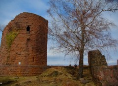 Fonds d'cran Constructions et architecture Chteau du Frankenbourg , Alsace