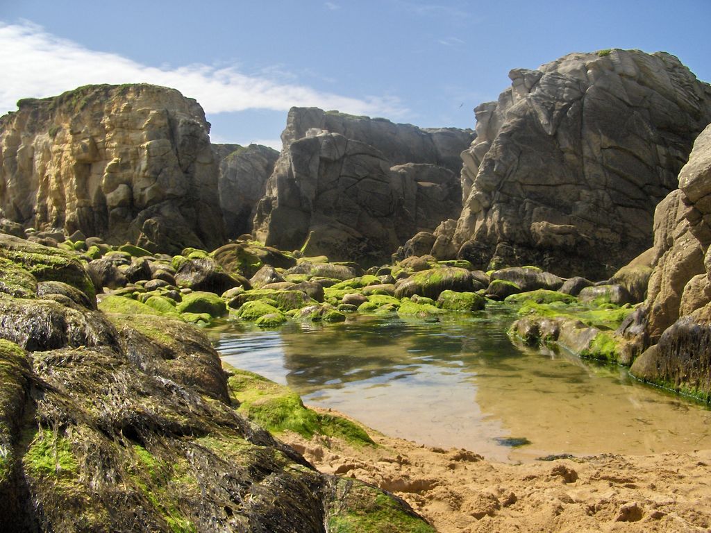 Fonds d'cran Nature Mers - Ocans - Plages Bord de mer de la Cte Sauvage de Quiberon ( Bretagne du Sud )