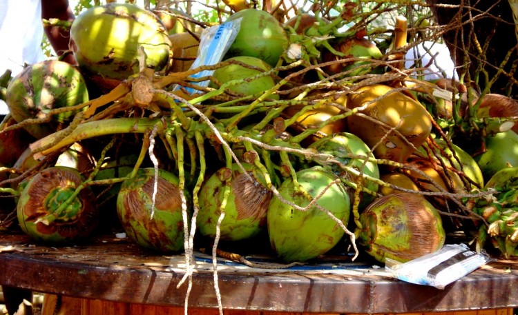 Fonds d'cran Nature Fruits COCO A GOGO