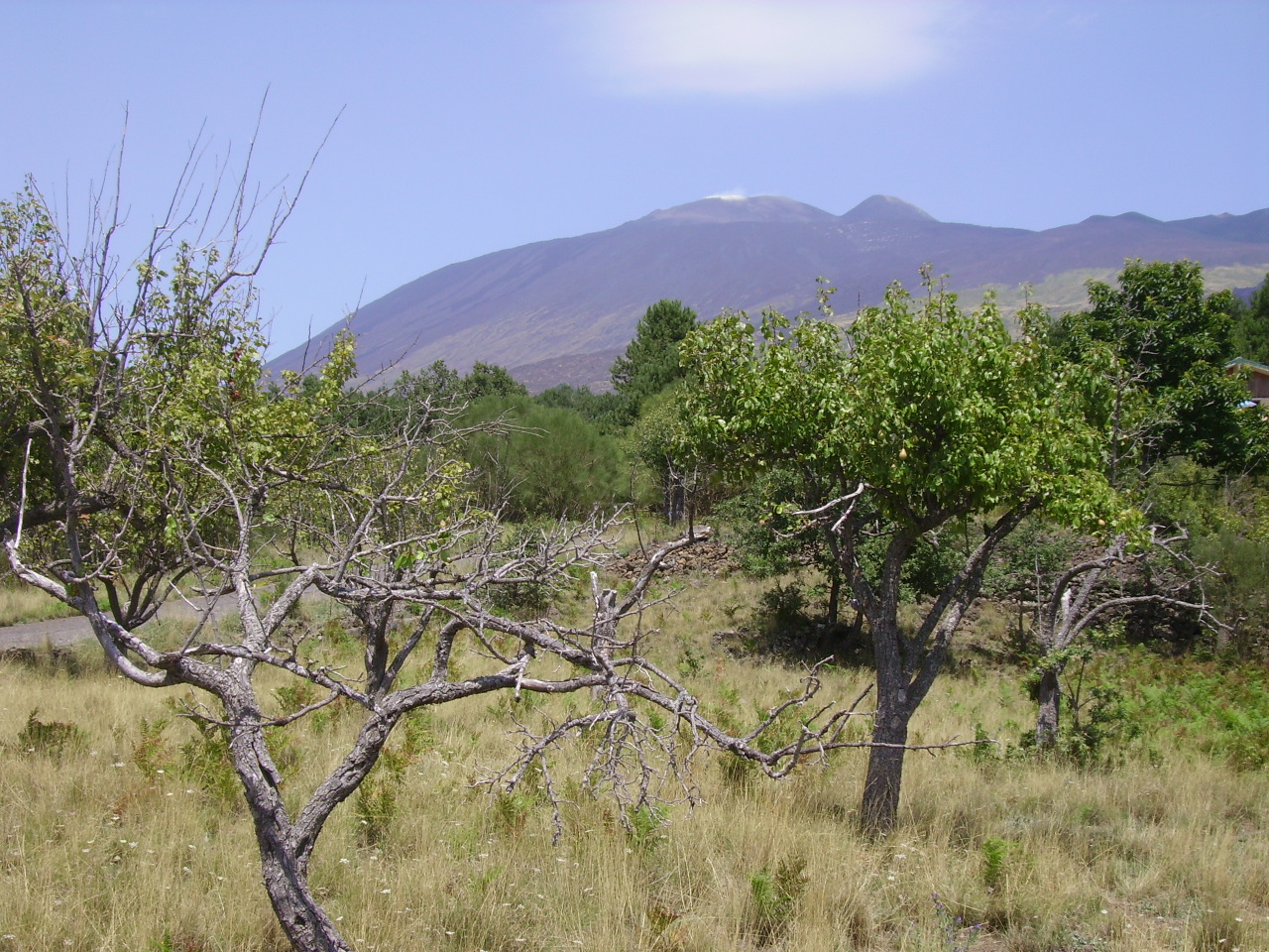 Wallpapers Nature Landscapes Etna