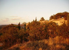 Fonds d'cran Nature Arles