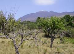 Wallpapers Nature Etna