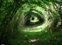 Wallpapers Nature Salers, Auvergne, France