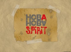 Fonds d'cran Musique Hoba Hoba Spirit