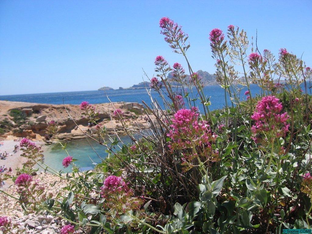 Fonds d'cran Nature Mers - Ocans - Plages Calanque