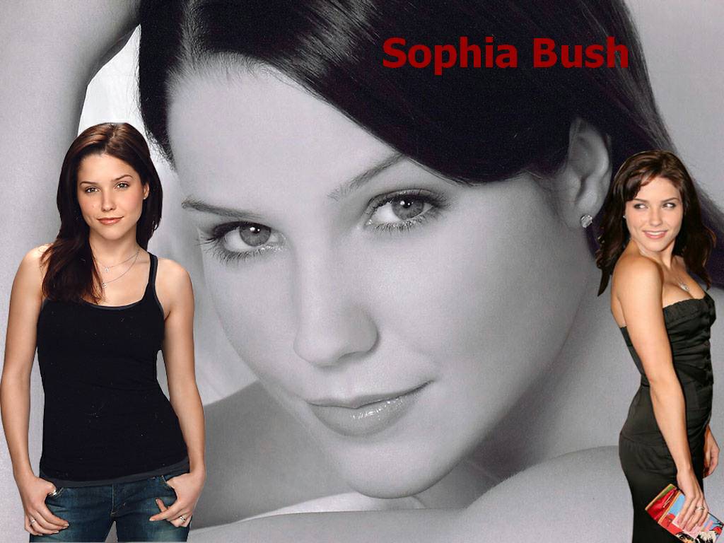 Fonds d'cran Clbrits Femme Sophia Bush Sophia