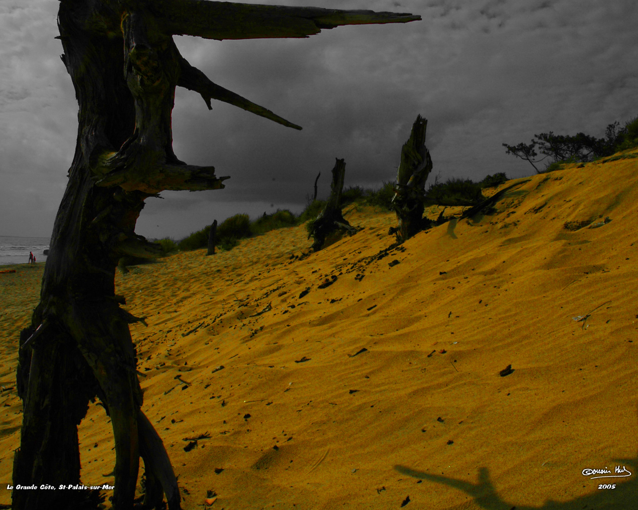 Fonds d'cran Nature Mers - Ocans - Plages Silhouettes