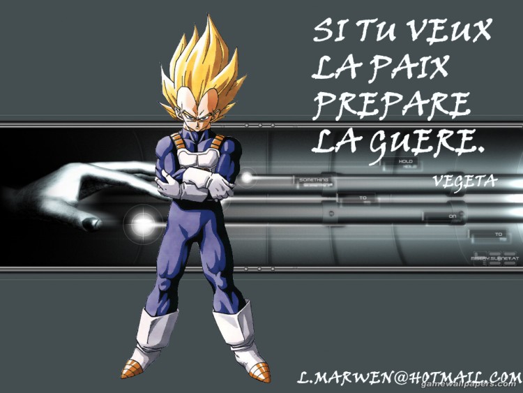 Fonds d'cran Manga Dragon Ball Z vegeta