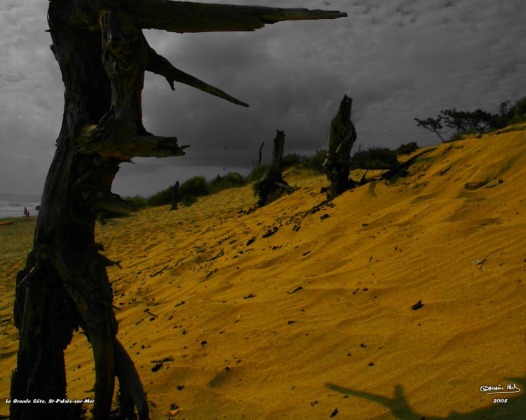 Fonds d'cran Nature Mers - Ocans - Plages Silhouettes