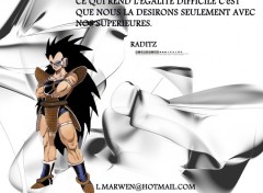 Fonds d'cran Manga raditz