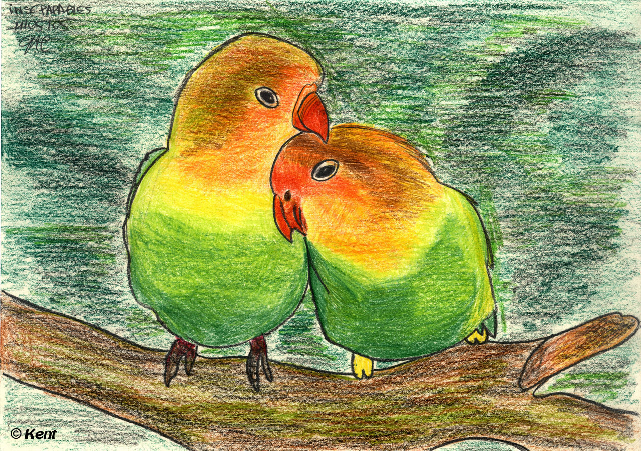 Fonds d'cran Art - Crayon Animaux - Oiseaux - Rapaces Insparables