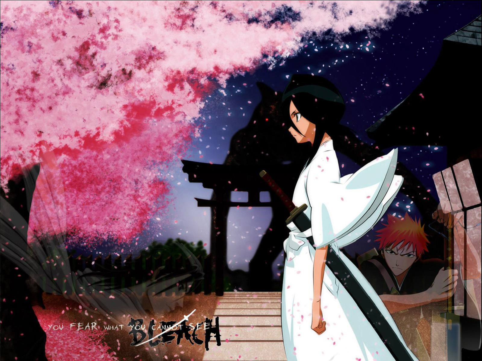 Wallpapers Manga Bleach the choice to protect