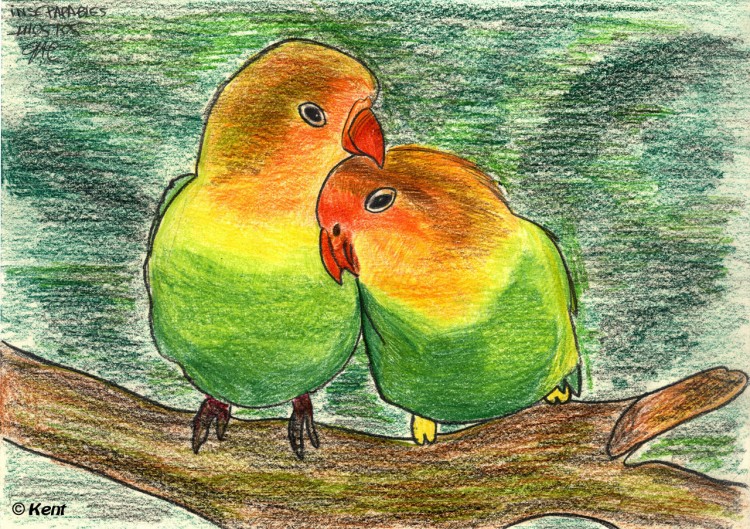 Fonds d'cran Art - Crayon Animaux - Oiseaux - Rapaces Insparables