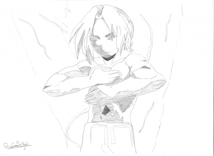 Fonds d'cran Art - Crayon Manga - Fullmetal Alchemist ed sacrifice