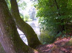 Fonds d'cran Nature Eau calme