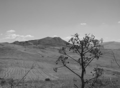 Fonds d'cran Nature Ici ou ailleurs