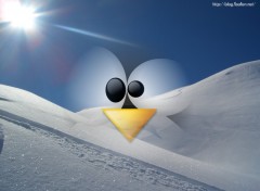 Wallpapers Digital Art pingouin fantome