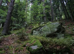 Fonds d'cran Nature dcors de montagne