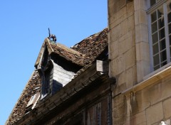 Fonds d'cran Voyages : Europe dijon, le chat sur le toit