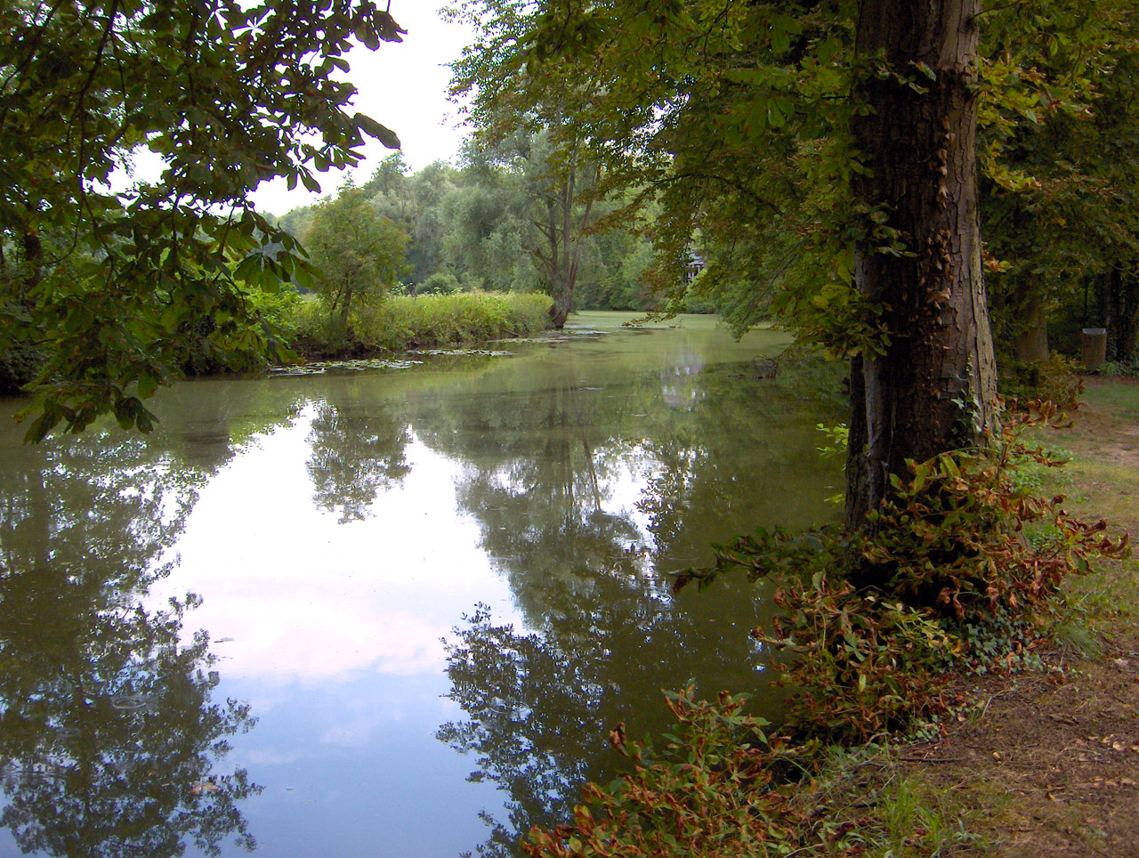 Wallpapers Nature Rivers - Torrents Eau calme