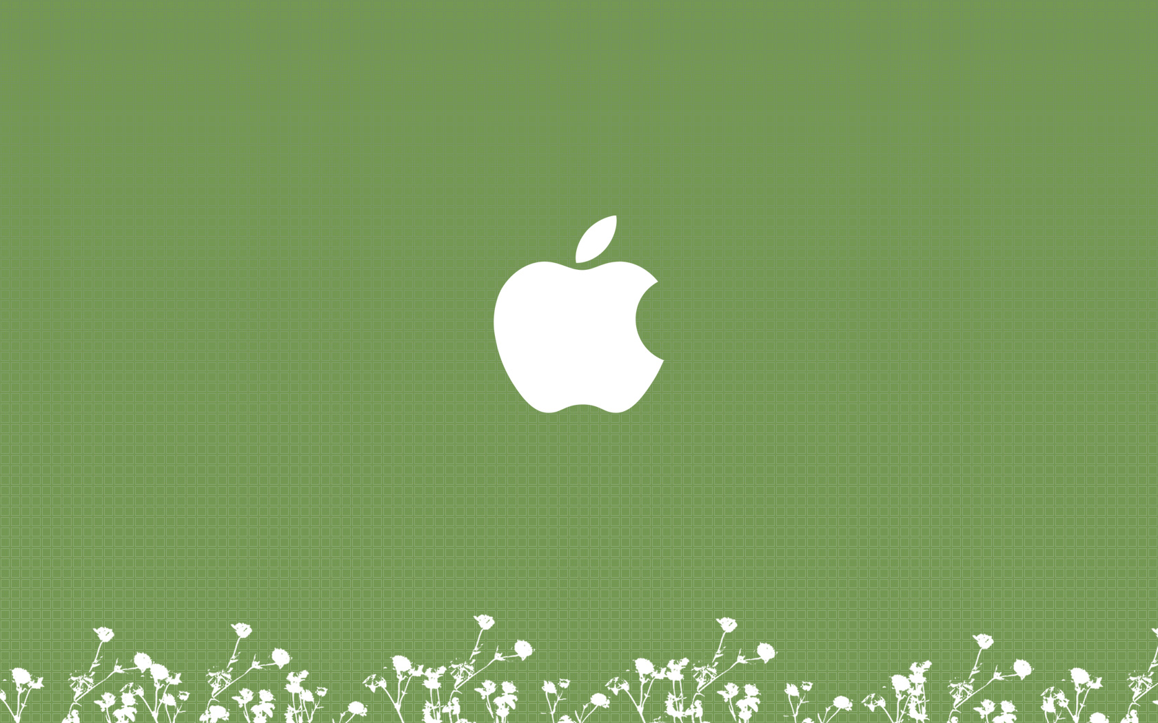 Fonds d'cran Informatique Apple Green