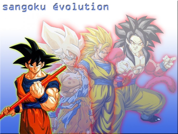 Fonds d'cran Manga Dragon Ball Z sangoku sous ses 4 LVL