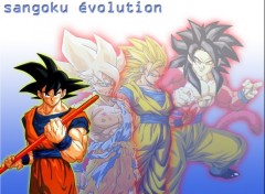 Fonds d'cran Manga sangoku sous ses 4 LVL