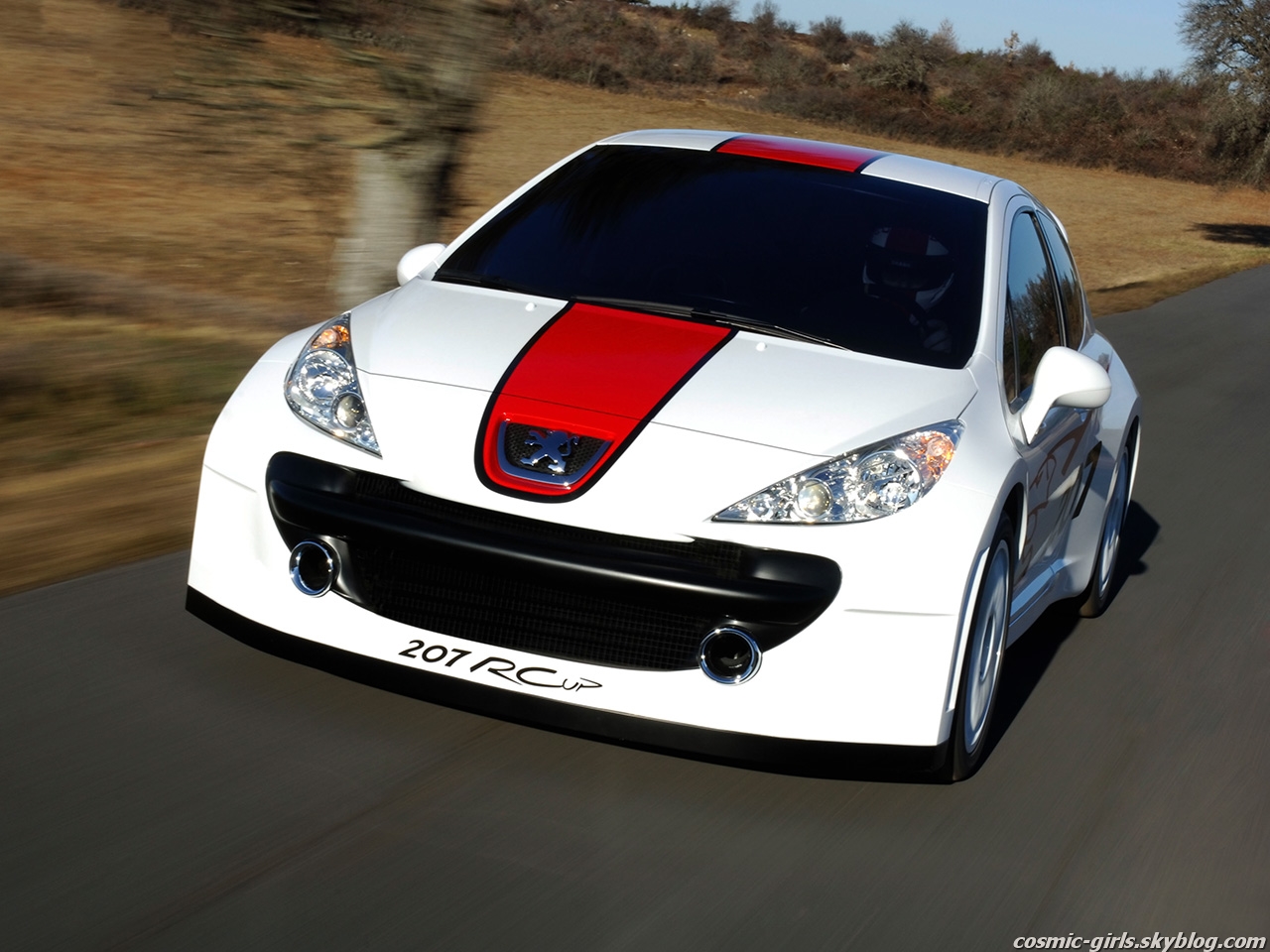 Wallpapers Cars Peugeot 207 R cup