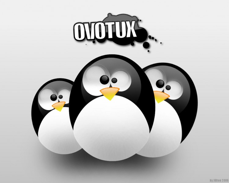 Fonds d'cran Informatique Divers Ovotux