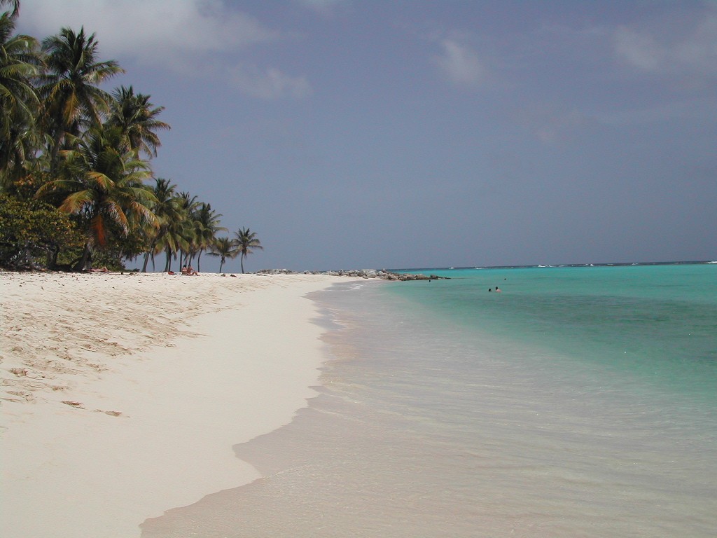 Wallpapers Nature Seas - Oceans - Beaches Plage guadeloupe