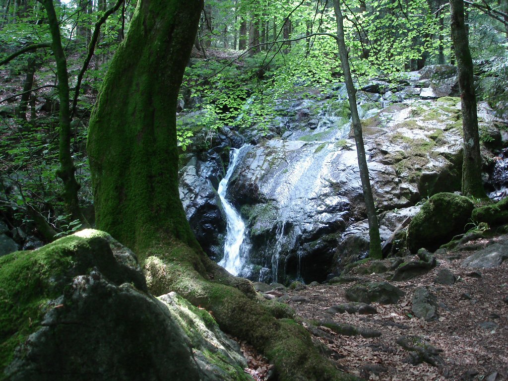 Fonds d'cran Nature Cascades - Chutes 