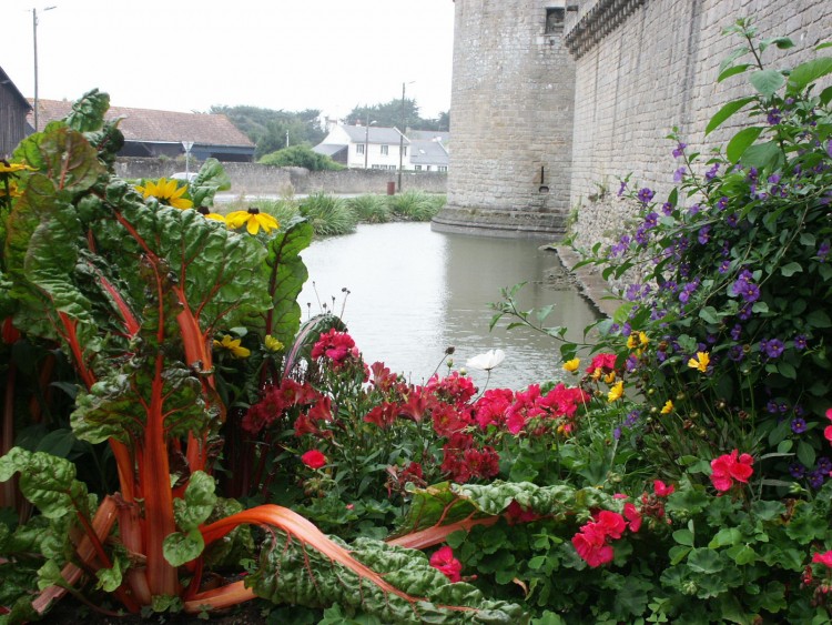 Fonds d'cran Nature Divers - Compositions Parterre de fleurs ville de Gurande