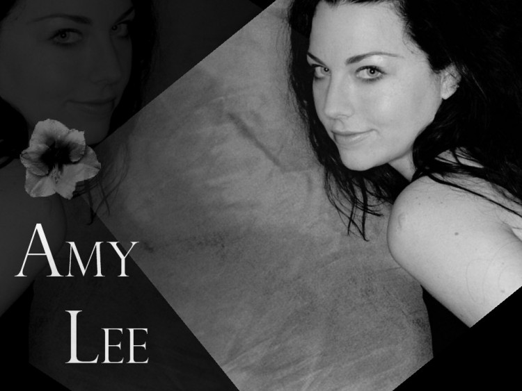 Fonds d'cran Clbrits Femme Amy Lee Wallpaper N150144