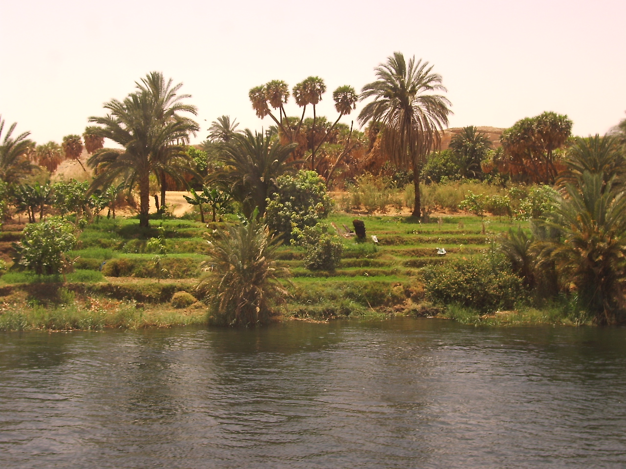 Fonds d'cran Voyages : Afrique Egypte Rive du Nil