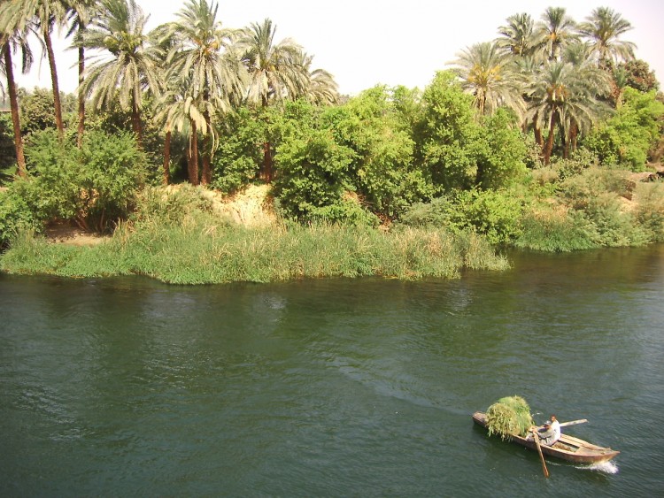 Wallpapers Trips : Africa Egypt Rives du Nil