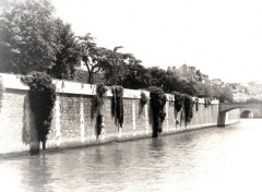 Fonds d'cran Nature Paris