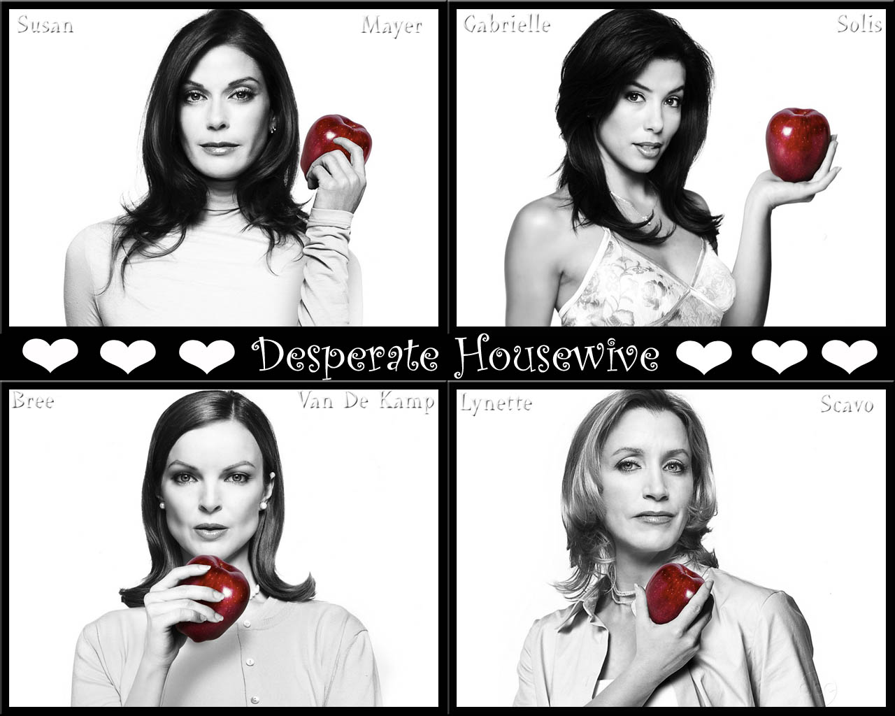 Fonds d'cran Sries TV Desperate Housewives 