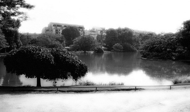 Fonds d'cran Nature Lacs - Etangs Montsouris