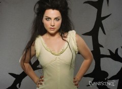 Fonds d'cran Musique amy lee