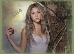 Wallpapers Music Shakira